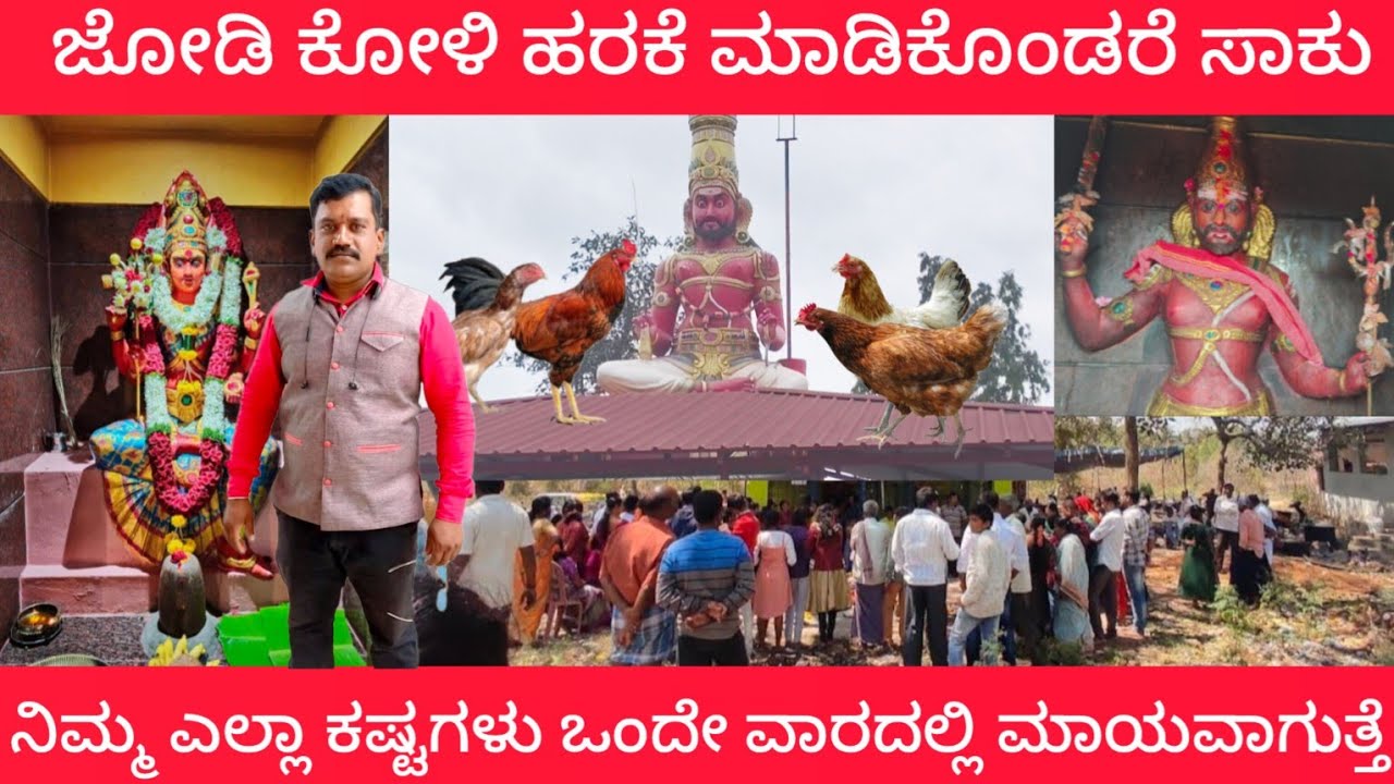 ಜೋಡಿ ಕೋಳಿ ಹರಕೆ ಮಾಡಿಕೊಂಡರೆ ಜೀವನ ಮಿರಾಕಲ್ ||ಪೂಜಾರಿ ಇಲ್ಲದ ಮುನೇಶ್ವರ ಟೆಂಪಲ್