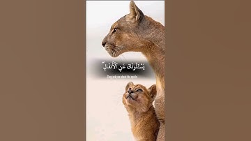الشيخ ياسر الدوسري سورة الأنفال | #ياسر_الدوسري