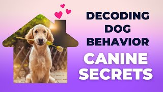 Decoding Dog Behavior: Unleashing Canine Secrets