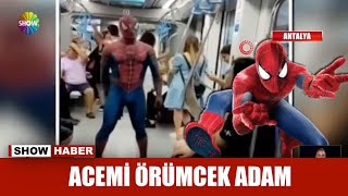 Acemi Örümcek Adam