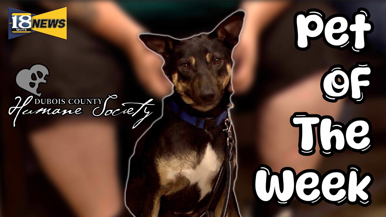 Dubois County Humane Shelter
