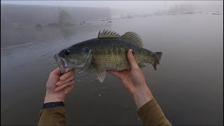 Foggy Morning Bass Fishing