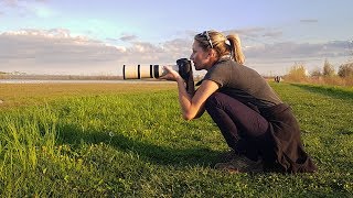 Bird Photography - OVER 60 SPECIES in one crazy day