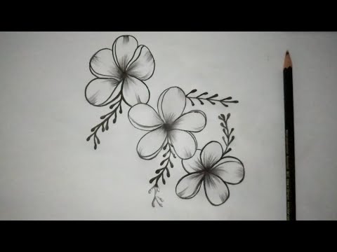 تحميل رسومات قلوب ورود بالقلم الرصاص