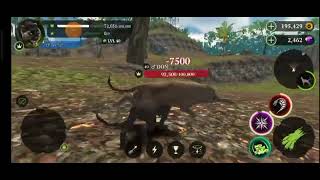 panther online : PVP server Hack k100 2vs2🥷😉