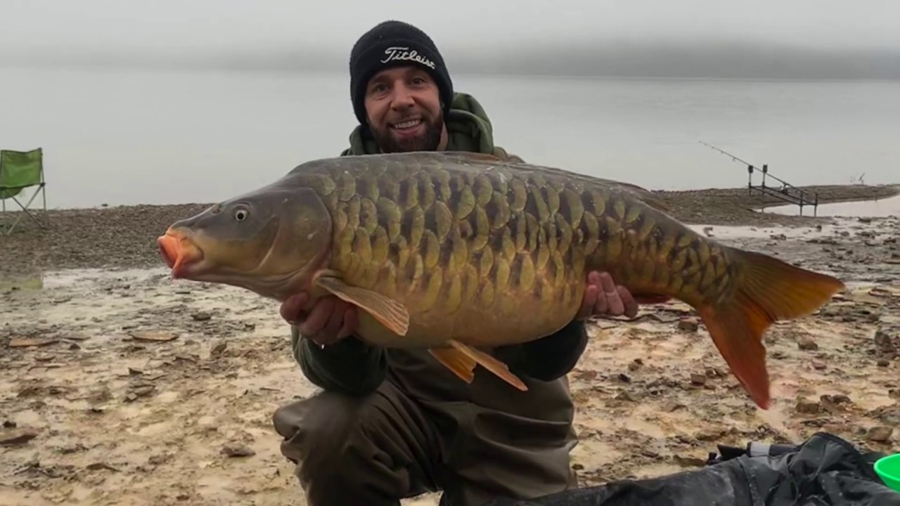 Carp Fishing Dale Hollow YouTube