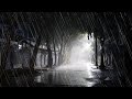 Very Heavy Rain on Spooky Road with Intense Thunderstorm Sounds - Thunder and Rain Sounds for Sleep