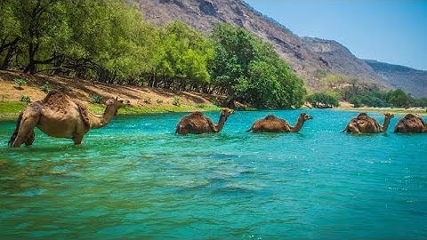 القاريء عبد العزيز العسيري ما تيسر من سورة الحديد