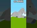Creo la pixel art gigante di Garibaldi!