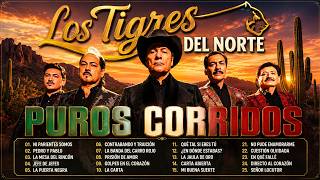 LOS TIGRES DEL NORTE Puras Canciones Perronas 🔥 Éxitos Legendarios