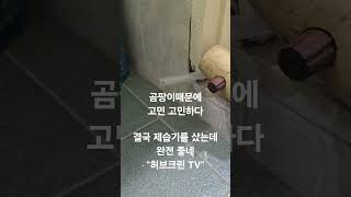 습기 고민은 역시 제습기 #습기 #제습기 #곰팡이방지 #곰팡이제거