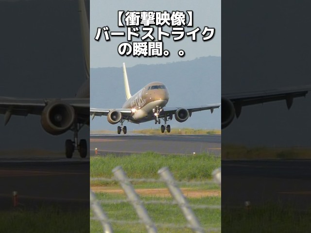 ランディング事故