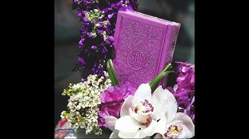 قرآن كريم السديس  أجمل حالات واتس اب 🖤 ايات من سوره الاسراء
