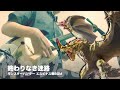 【終わりなき迷路／エスピナス】三味線だけで弾いてみたら火傷したぜ ［Monster Hunter：Espinas Theme － Japanese Music Cover］:w32:h24