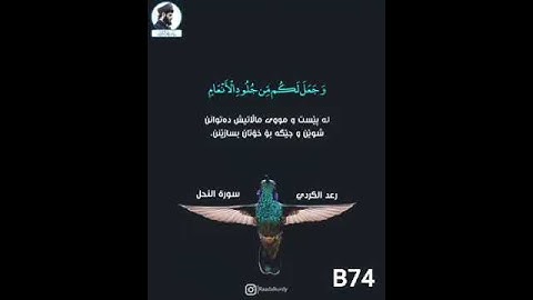 القارئ الشيخ رعد محمد الكردي ( ما تيسر من سورة  النحل )