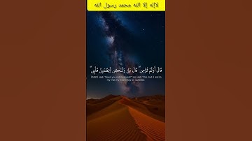تلاوة تريح القلب ❤️#المسلمين #المصحف #القرآن_الكريم