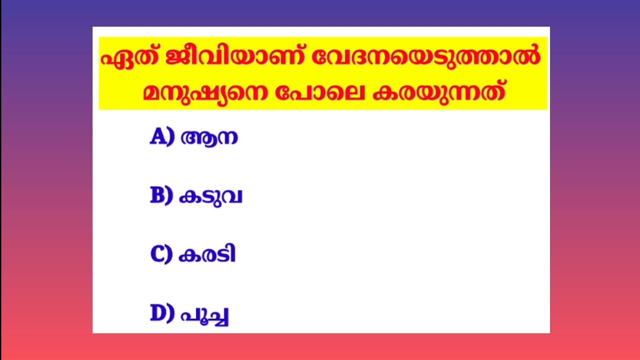 Part 246 I Malayalam GK Questions with Answers | PSC |GK |Competitive Exams Gk |Quiz for All Exams