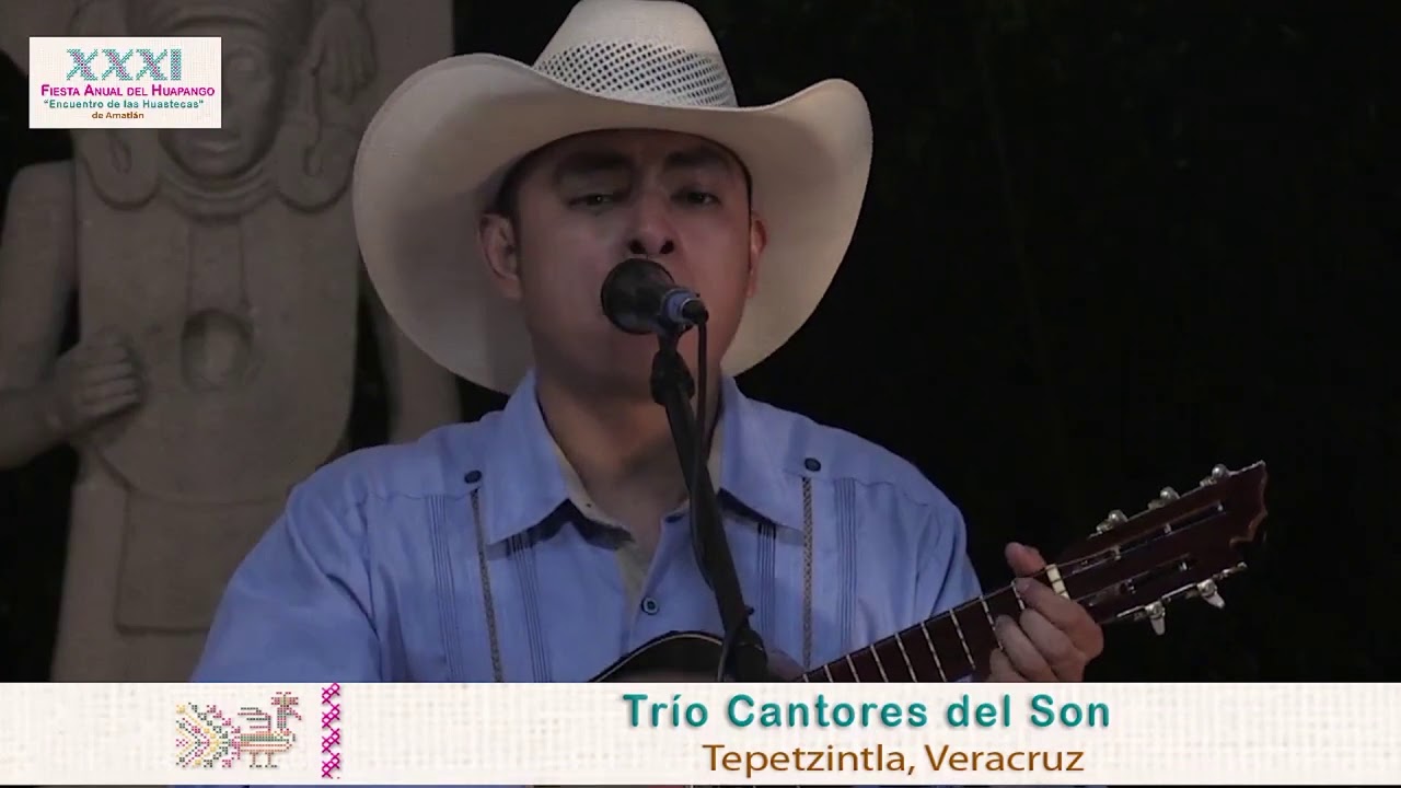 El Trío Cantores del Son tocan El Aguanieve.