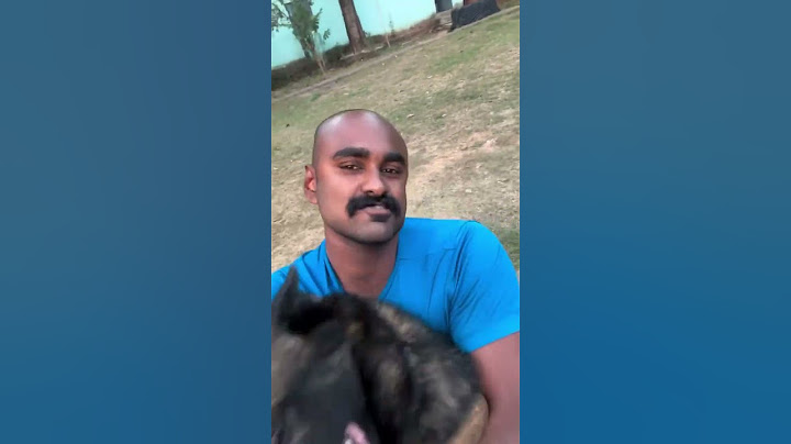 അങ്ങനെ ഒരു മാസത്തിനു ശേഷം നമ്മൾ വീണ്ടും ❣️❣️❣️❣️❣️#dogsofinstagram #dog #trendingreels