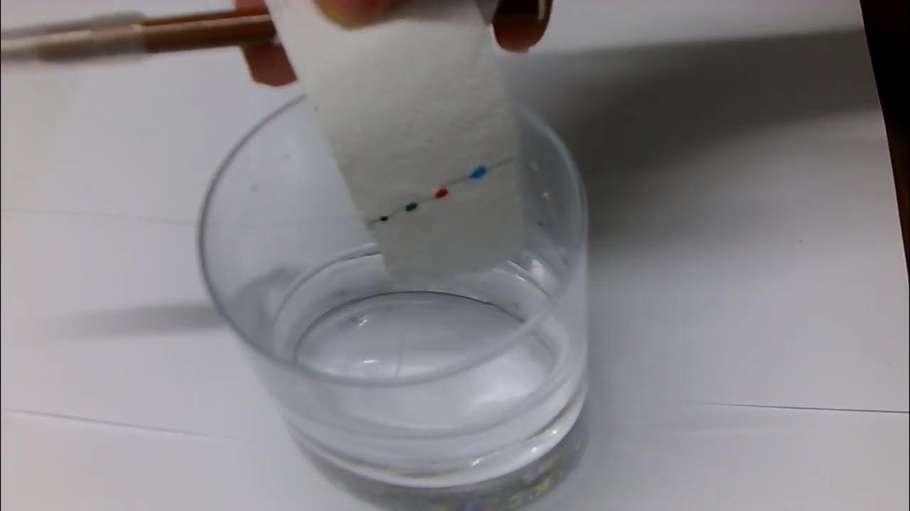 Chromatography with strips YouTube