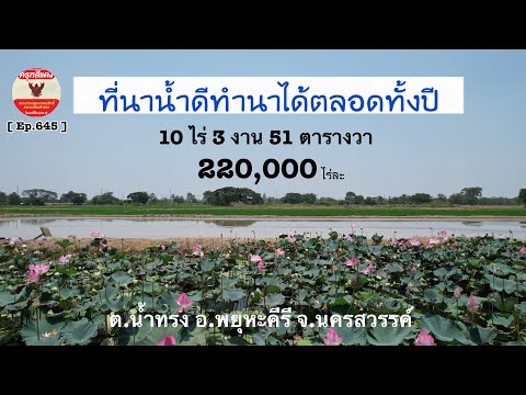  Ep.645 ขายที่นาน้ำดีทำนาไ   Ep.648   ขายที่ดินวิวเขา 360 องศา ติดทางสาธารณะ 2 ด้าน 10 ไร่ ราคาไร่ละ 200,000 บาท ออก.บ้านไร่