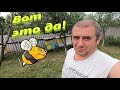 ✅Съел пчелу во время видео! Матки племенные и чистопородные на моей пасеке!