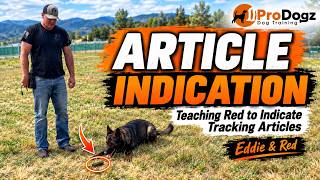 Teaching IGP Article Indication | Building Accuracy Without Losing Drive