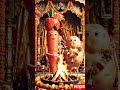🥔❤️🥕 आलू और गाजर की शादी! | Funny Vegetable Wedding 😂 #shorts
