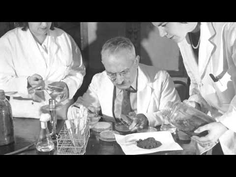 Rutgers and Streptomycin: First Tuberculosis Treatment