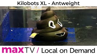 Kilobots XL: Antweight - SaskTel maxTV Local on Demand