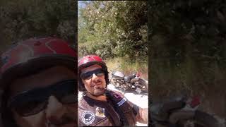 Cofradía calefonica  24 de noviembre 2024