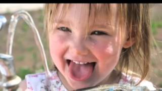 Nitrates Psa Mr. Brownes Science Cl