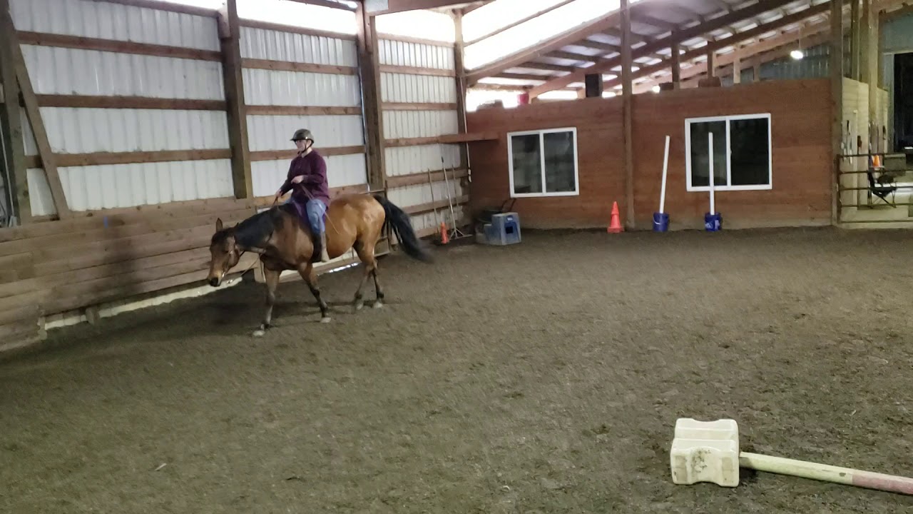 First time doing a jog/ sitting trot bareback YouTube