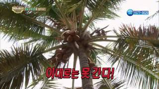 정글의법칙 in 사바나 131115(다시보기) #8(3)
