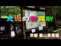 悲戀的勃露斯|恋のブルース|( 京都嵐山 御髮神社 常寂光寺 )|  良  山| 傳唱:雙 人