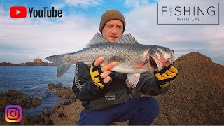 LURE FISHING FOR BASS | LABRAX FISHING | IMA SASUKE 140 | FWC