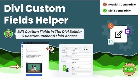 Introducing The Divi Custom Fields Helper Plugin – Edit Custom Fields In the Divi 5 Builder