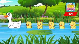 LIVE! Five little ducks | Old MacDonald | Baby Songs and Nursery Rhymes