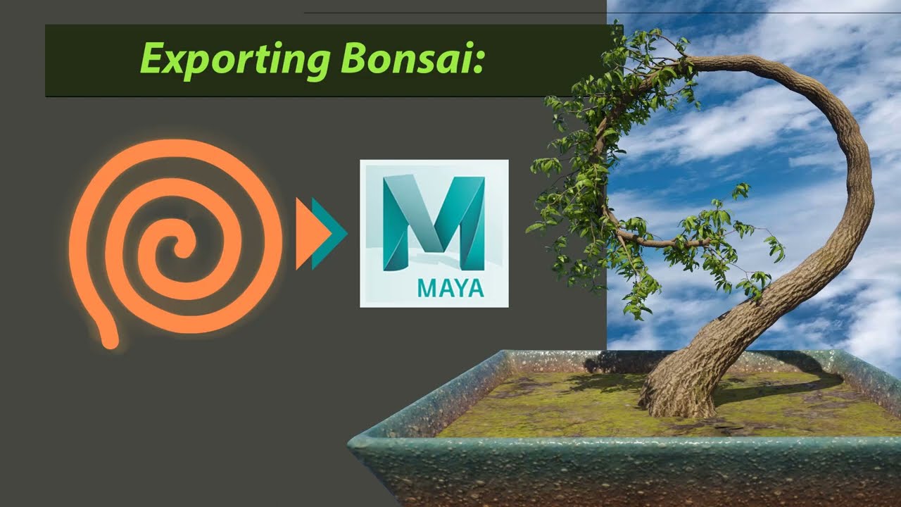 Exporting Bonsai Tree: Houdini to Maya