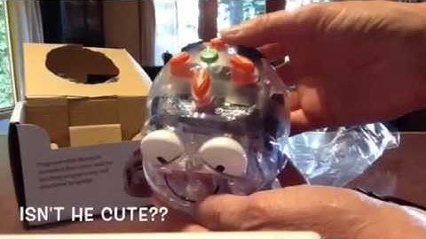 BlueBot Unboxing