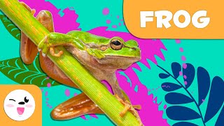 frog animals for kids episode 6