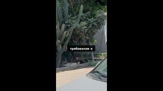 KLEOPATRA MELISSA*** https://youtu.be/kAp1e5FnTv8   Как выбрать идеальный отель? Узнайте разницу!