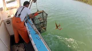 Hauling Traps | Lobster Fishing in Maine!