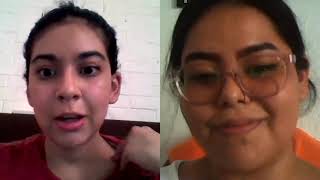 Assignment 2 Video Chat Recording L2  Acquisition Theories