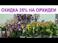 🌸 СКИДКА 25% на ОРХИДЕИ и 30% на КОМНАТНЫЕ РАСТЕНИЯ! 25.10.23 Купить орхидею