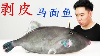 馬面魚 Youtube