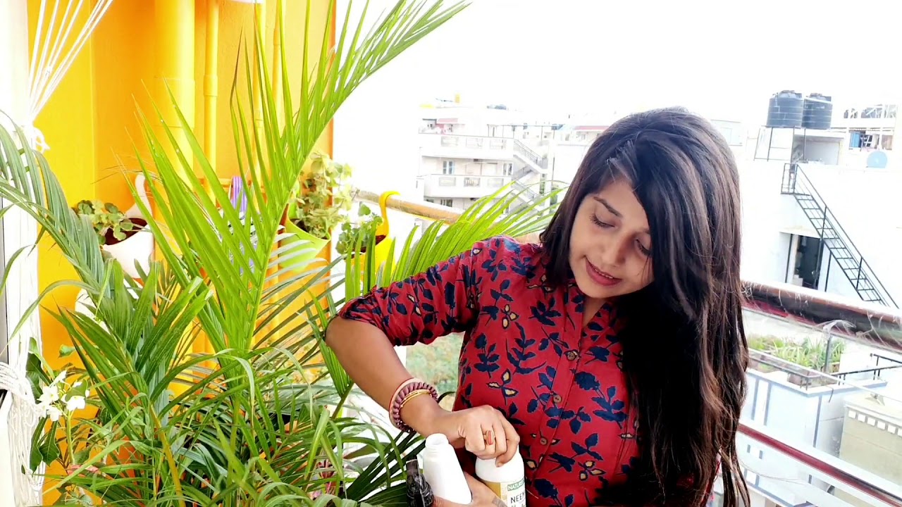 How to use Neem oil on plants