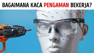 Fakta-fakta yang Sangat Aneh sehingga Anda Tidak Akan Bisa Berhenti Membagikannya