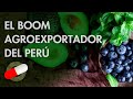 El BOOM Agroexportador en el Perú