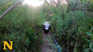 Florida Man Attacked by 11 Foot Bull Gator | Fishing Trip Ruined
